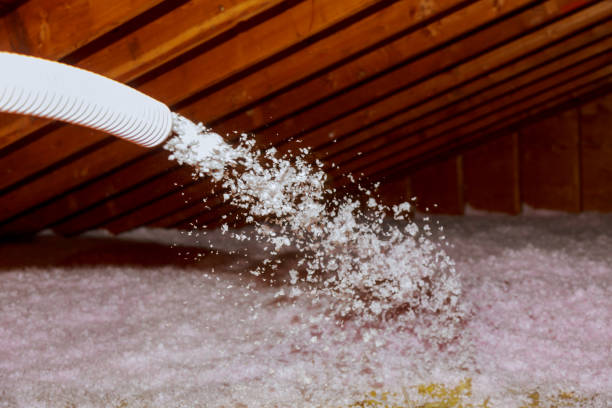 Best Insulation Removal  in Cleora, OK