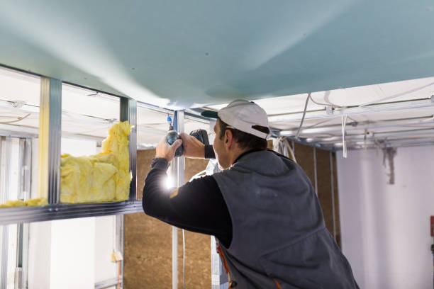 Best Spray Foam Insulation  in Cleora, OK