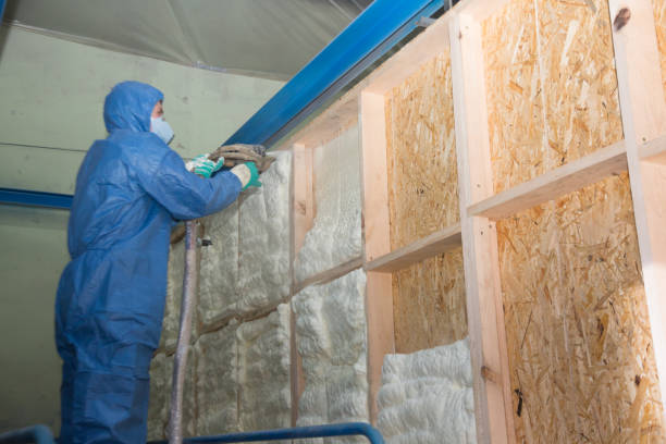 Best Home Insulation Services  in Cleora, OK